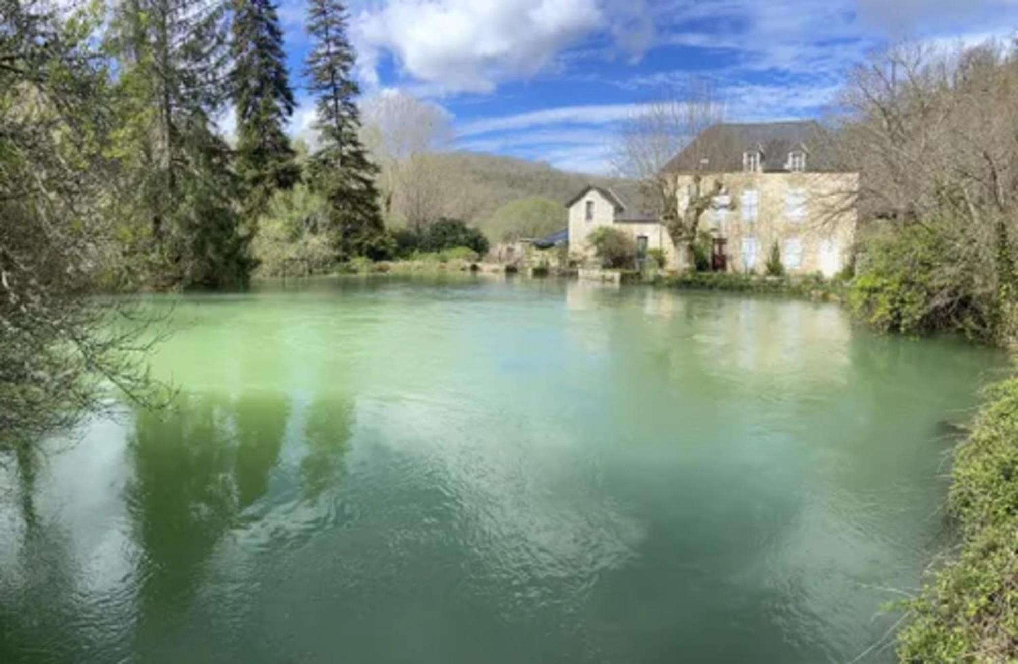 Domaine La Noyeraie Perigord Noir Villa Paulin Exterior foto